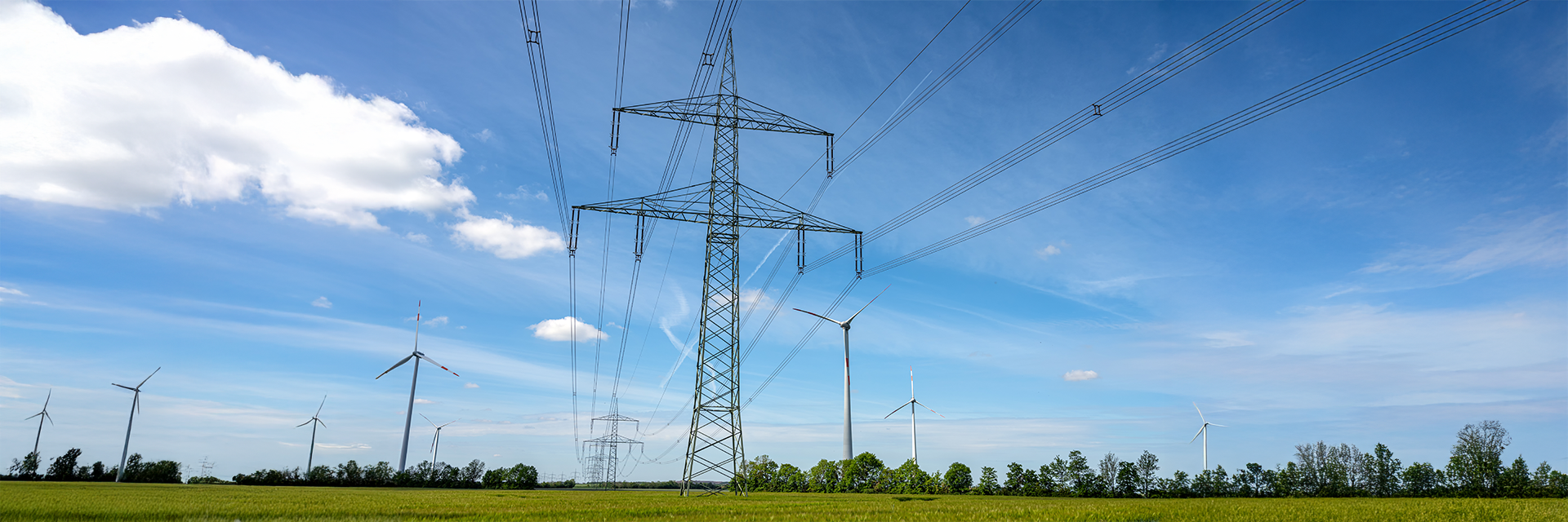 Meer dan een energieleverancier: zo versterkt Scholt Energy het net als BRP, BSP en CSP